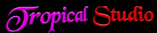 TROPICAL STUDIO - Tattoo&Piercing